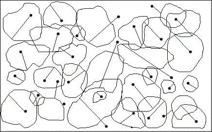 樹冠投影図